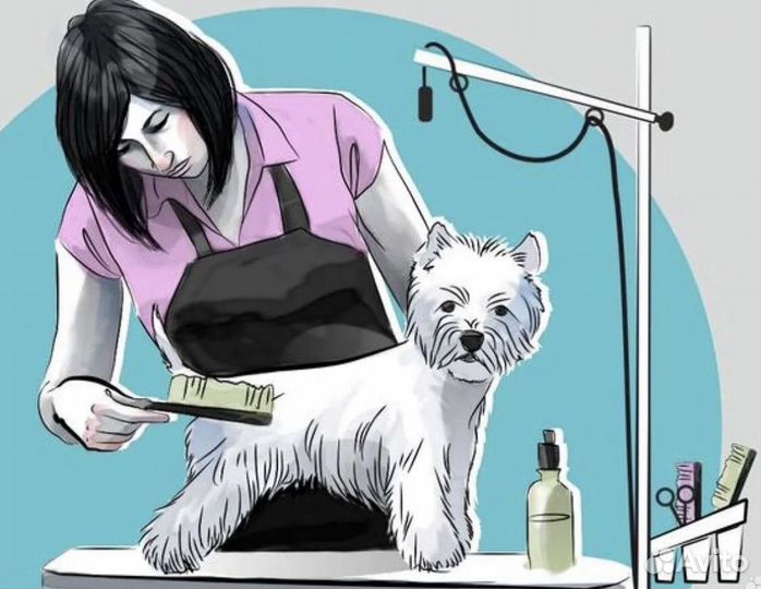 Сдам в аренду рабочее место грумера