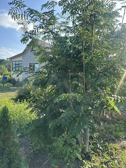 Дача 48 м² на участке 10 сот.