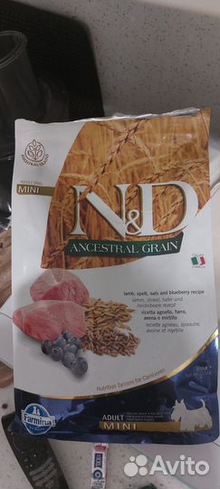 Корм для собак