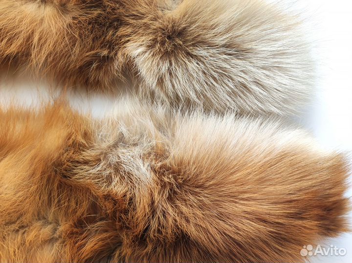 Воротник лиса