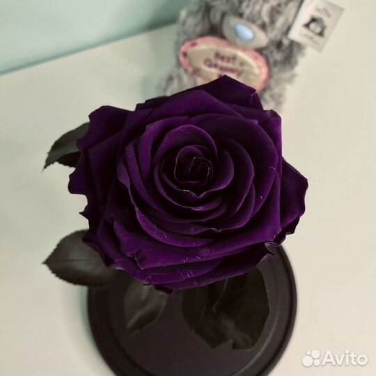 Розы в колбах