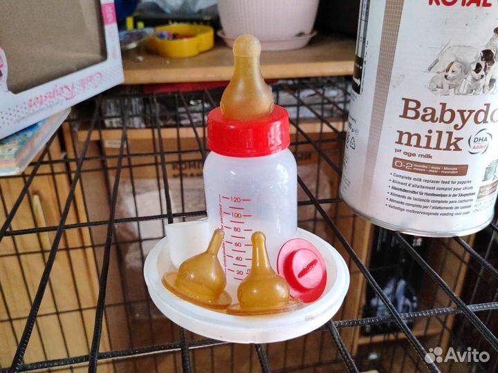 Бутылочки для кормления котят и щенков