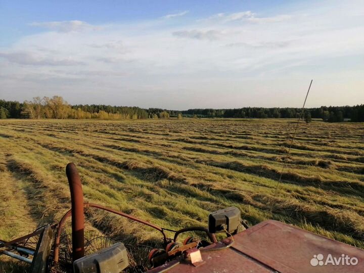 Сено в брикетах и рулонах