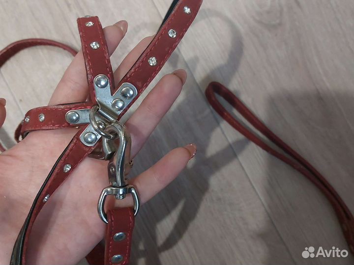 Поводок для маленьких собак