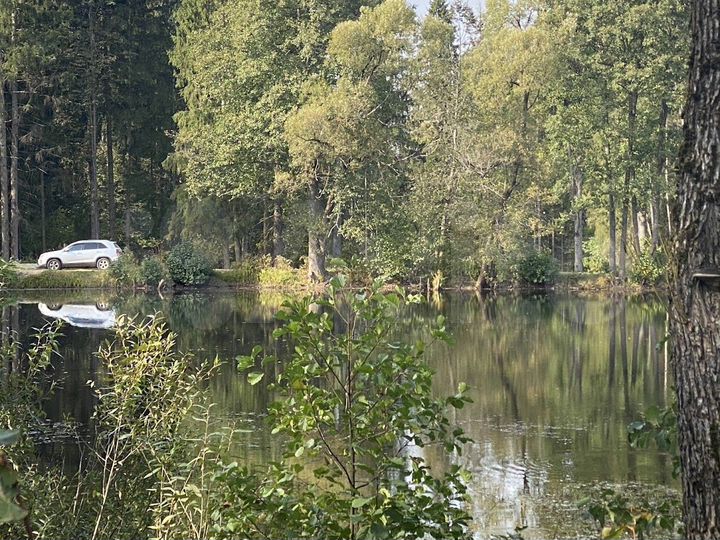 Участок 2 сот. (ИЖС)