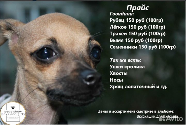 Лакомства для животных