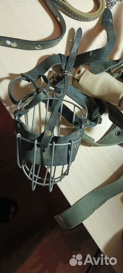 Шлейка для крупной собаки(овчарка немецкая)