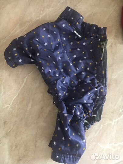 Одежда для маленьких собак