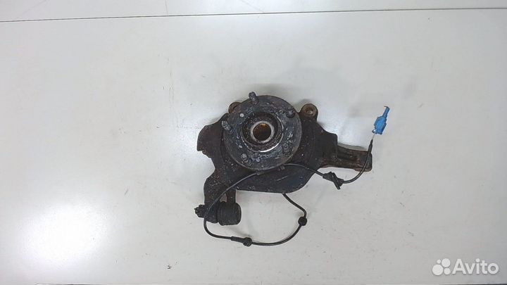 Ступица (кулак, цапфа) Nissan Murano, 2008