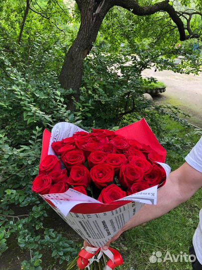 Розы 39 штук 50 см Эквадор