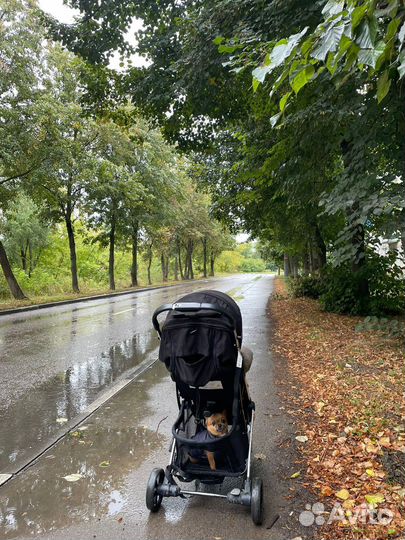 Коляска Nuovita Snello plus и рюкзак Hipster