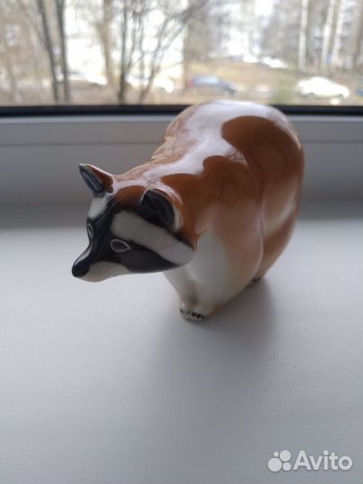 Енот идет к вам