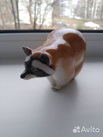 Енот идет к вам