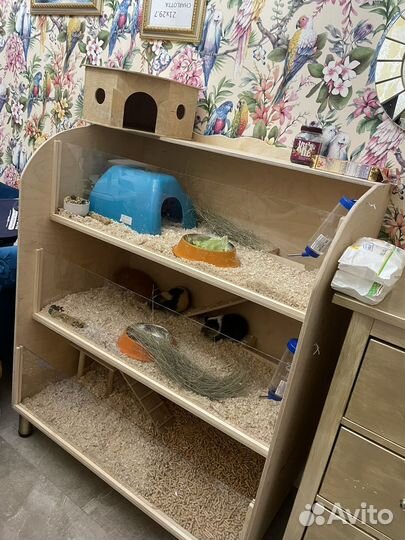Стеллаж,дом,клетка для морских свинок