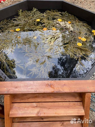 Аренда русской бани на дровах с чаном