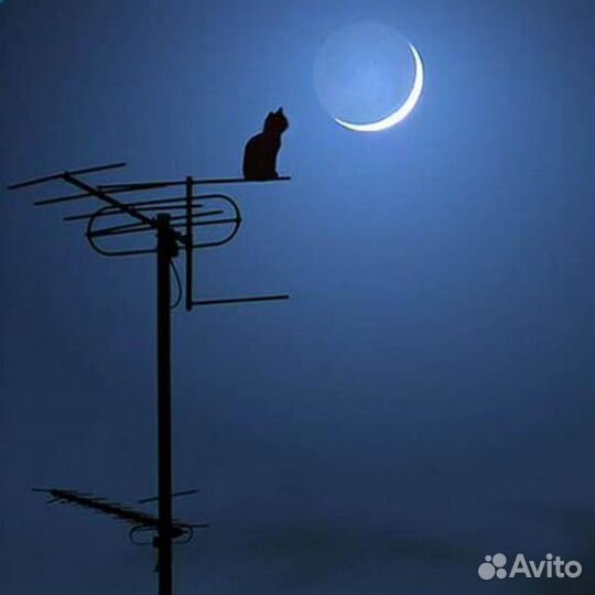 Установка,настройка,ремонт антенн,видеодомофонов