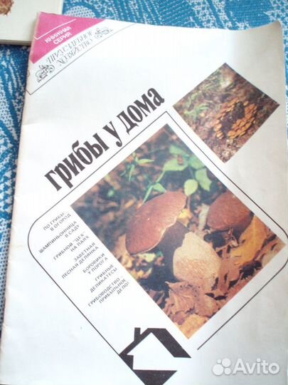 Грибы виды выращивание рецепты открытки