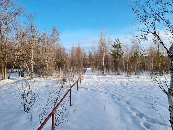 Участок 1,3 га (ИЖС)