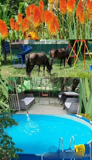 Комната 16 м², 1/2 эт.