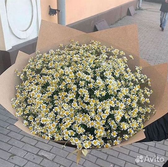 Доставка цветов. Ромашки
