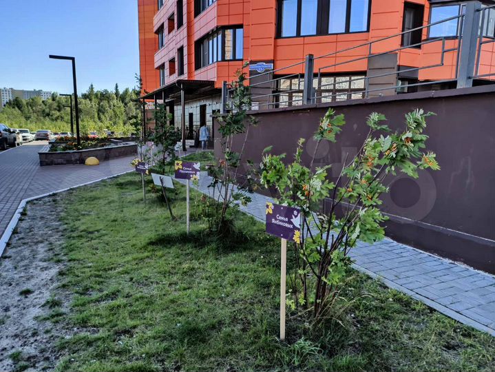 2-к. квартира, 71 м², 19/25 эт.