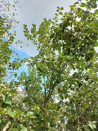 Дом 45 м² на участке 8 сот.