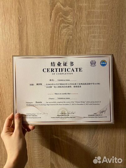 Китайский язык