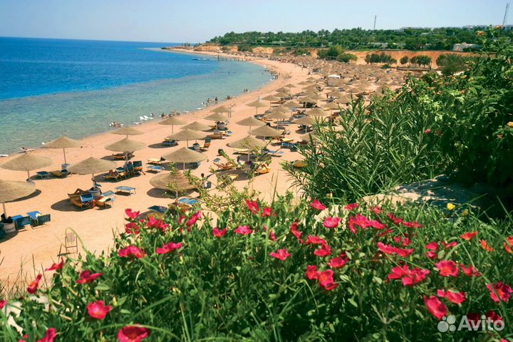 Тур в Египет вылет 1 сентября на 10 ночей из Спб