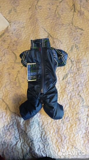 Комбинезон на маленькую собачку