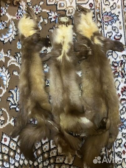 Шкурка животного