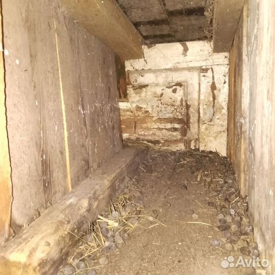 Клетки для кроликов бу