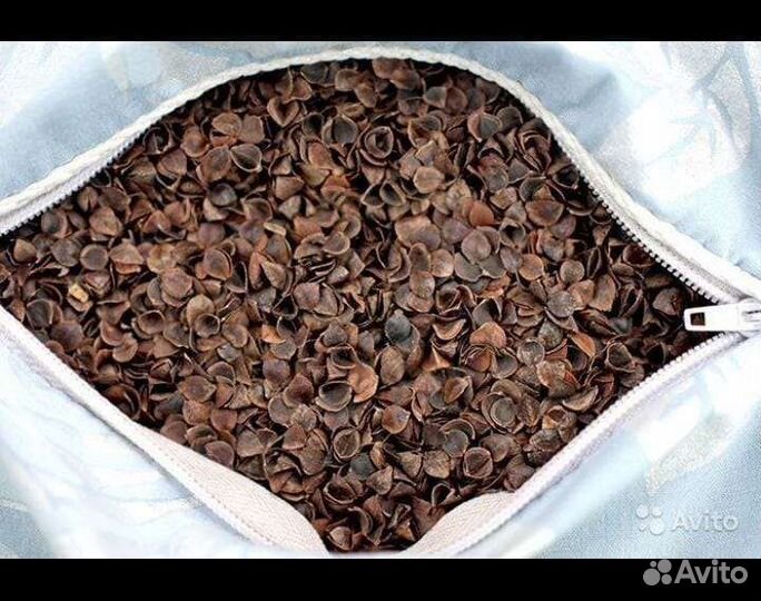 Подушка гречневая лузга 50/70, 40/60