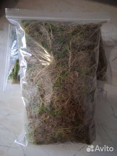Мох сфагнум. Пакет 3 литра
