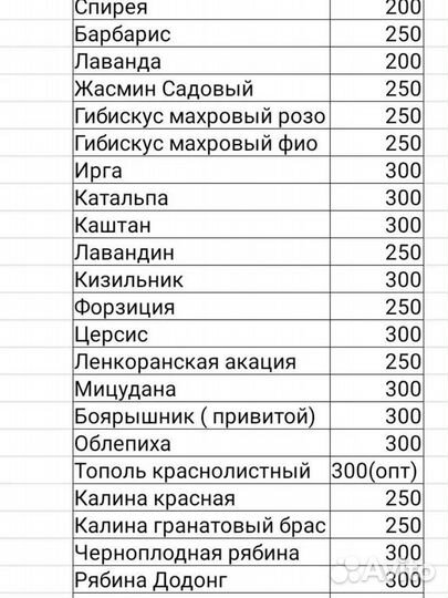 Саженцы из Крыма