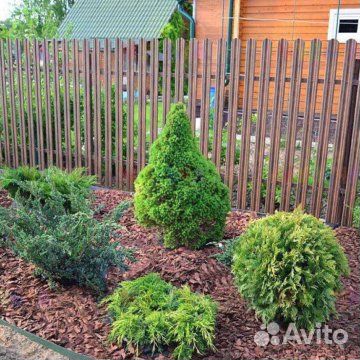 Кора лиственницы декоративная в Воскресенске