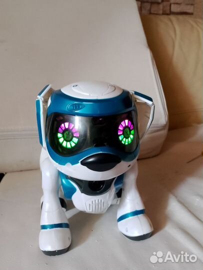 Собака робот Текста игрушка