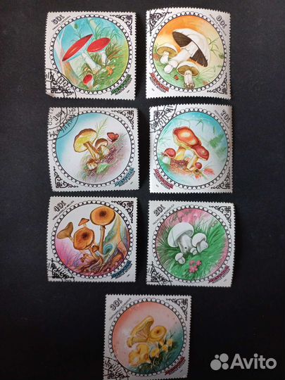 Марки 7 штук Mongolia Монголия грибы 1985