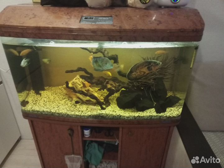Аквариум Jebo R3100KG Style Aquarium