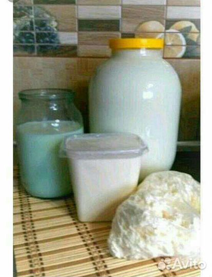 Молоко,сметана,творог,сыр