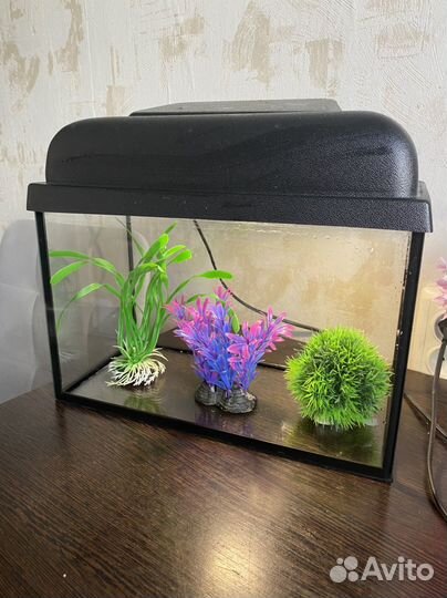 Аквариум с декором и другими пренадлежностями