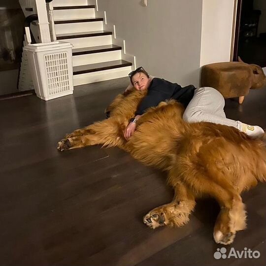 Вырасту большим