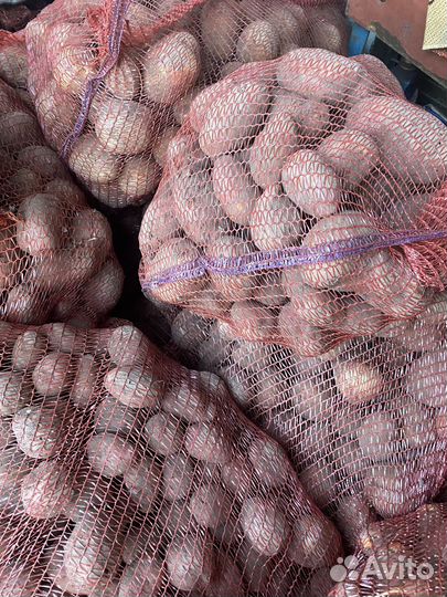 Продам картофель