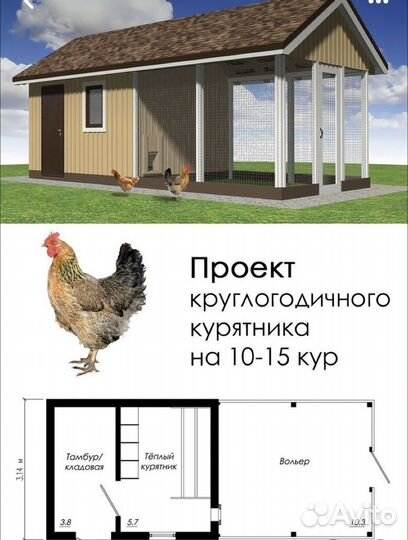Курятник 20 кур