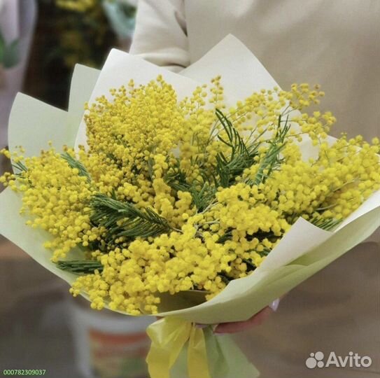 Букеты из мимозы (Арт.56896)