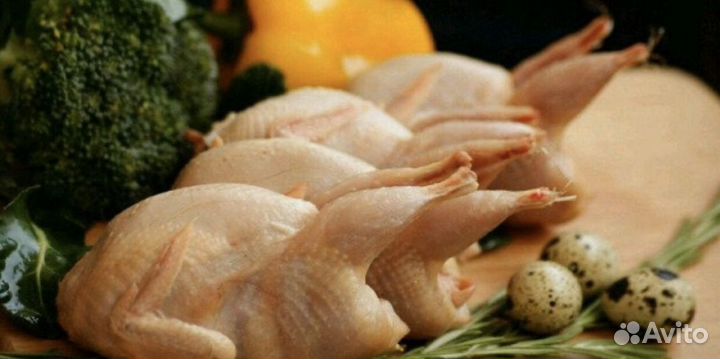 Мясо перепелов, копчёные перепела, копченое сало