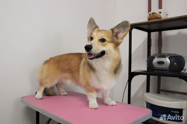 Стол грумерский