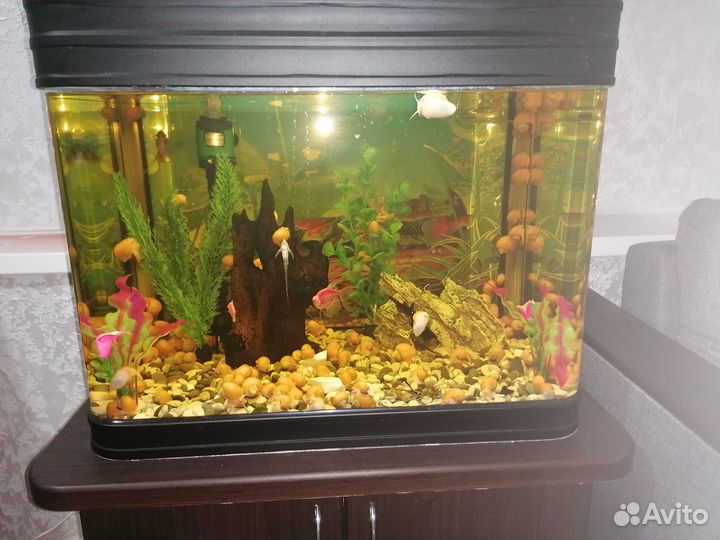 Аквариум с тумбой jebo