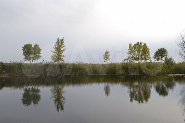 Участок 12 сот. (ИЖС)