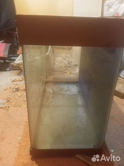 Аквариумные рыбки