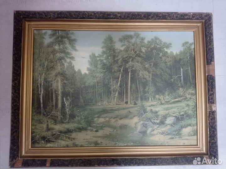Картина. И. Шишкин. 